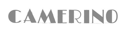 logo-camerino-gris logo camerino gris